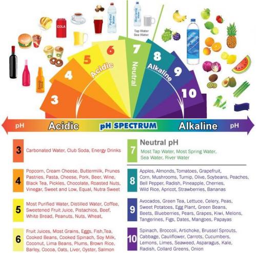 1 tableau acido base 1