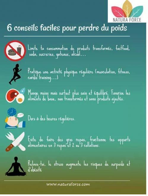 6 conseils