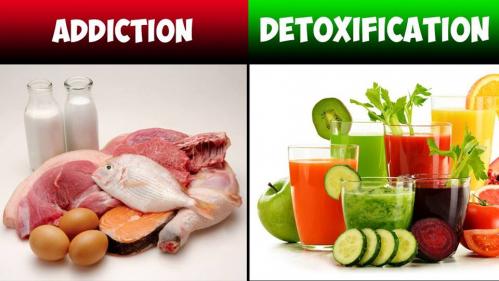 Addiction vs detox