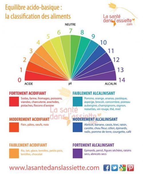 Alcalins aliments