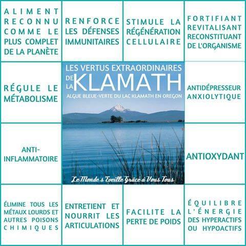 Algue klamath