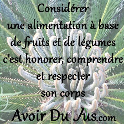 Alimentation fruits