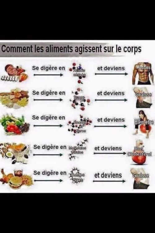 Aliments corps 1