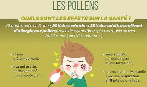 Allergenes pollen