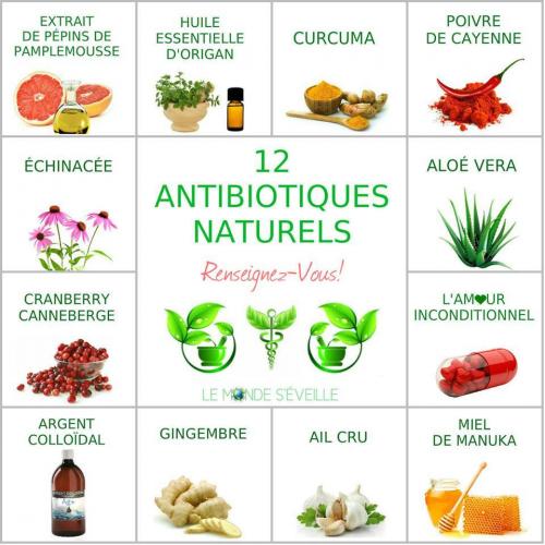 Antibiotique naturel