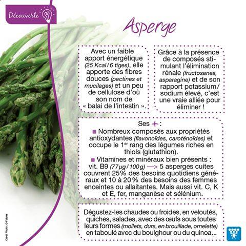 Asperge 1