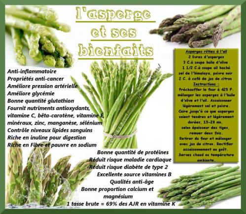 Asperge 2