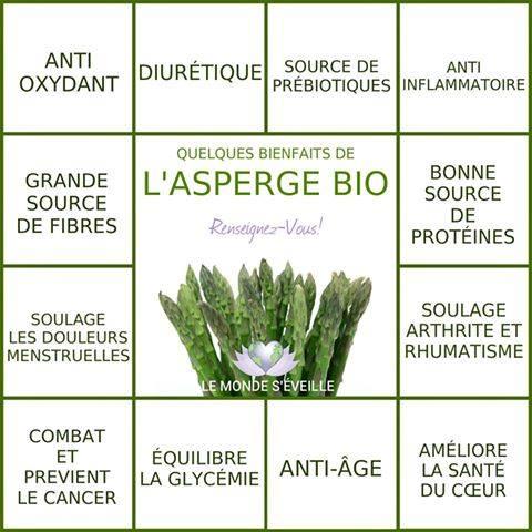 Asperge bio