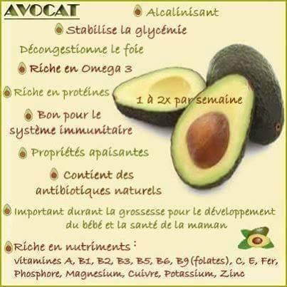 Avocat 1