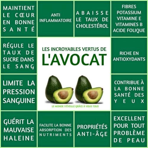 Avocat