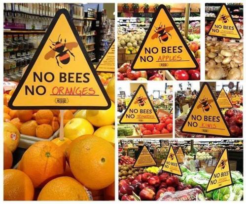 Bees fruits