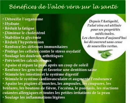 Comment Nettoyer Un Moulin Ef Bf Bd Caf Ef Bf Bd Electrique Comment Nettoyer Un Moulin Ef Bf Bd Caf Ef Bf Bd Electrique
