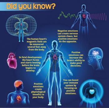 Bioresonnance