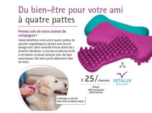 Brosse animaux 1