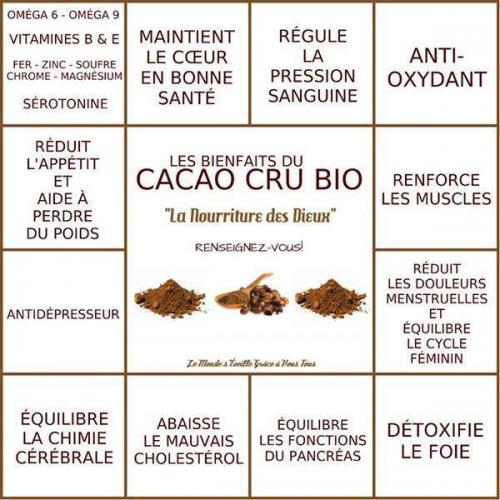 Cacao cru
