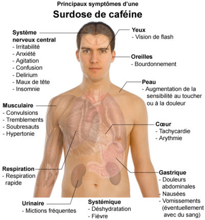 Cafeine surdose