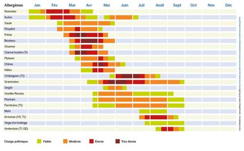 Calendrier allergies au pollen