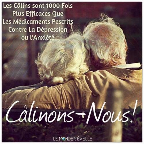 Calins 1