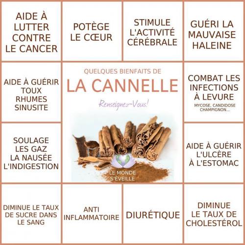 Cannelle