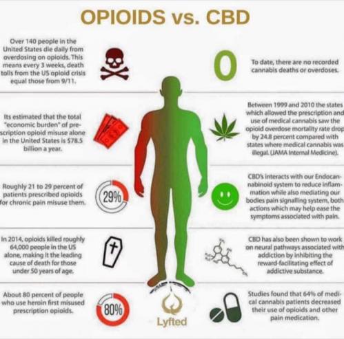 Cbd vs opioide