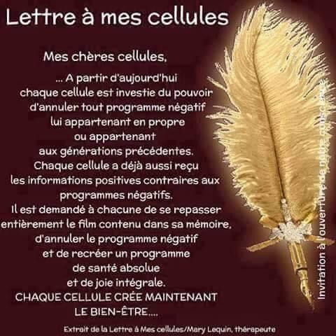 Cellule lettre