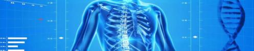 Cellule souche stemlife