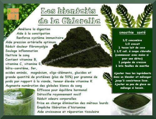 Chlorella 1