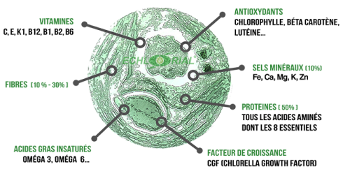 Chlorella composition fr160414 2