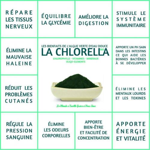 Chlorella1