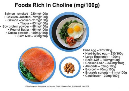 Choline aliments