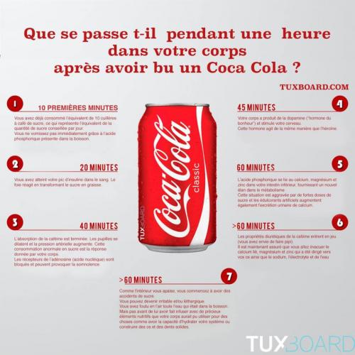 Coca 1