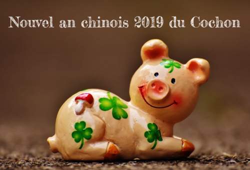 Cochon 2019