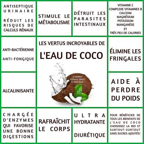 La publicité le moyen de limpuissance
