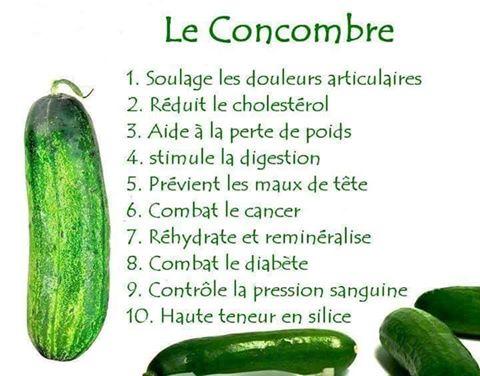 Concombre 1