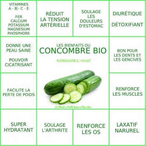 Concombre