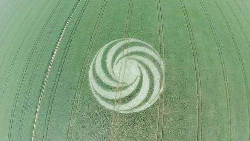 Crop circle 15 05 2016