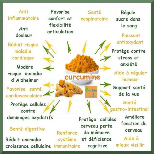 Curcumine 1