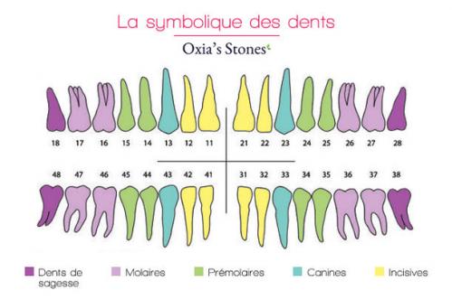 Dents symbolique