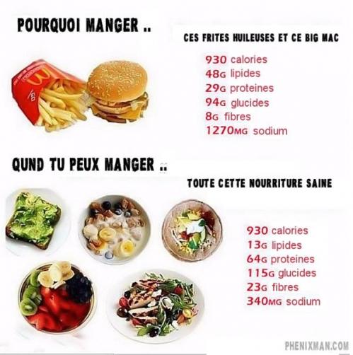 Difference bonnes calories mauvaises calories l o eyey