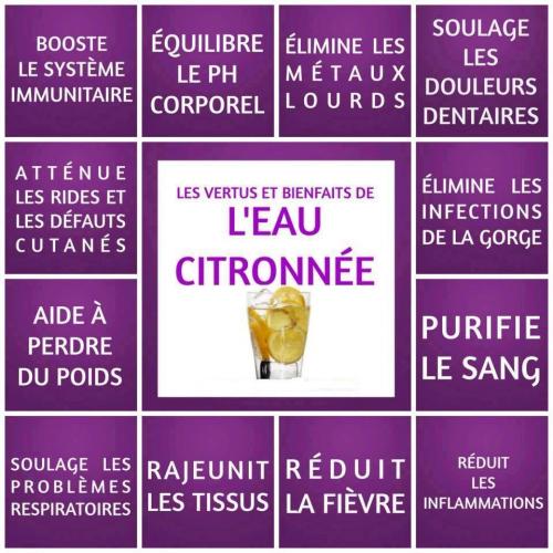 Eau citronnee 1