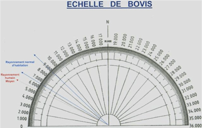 Echelle de bovis