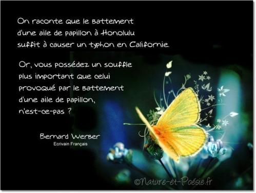 Effet papillon 1