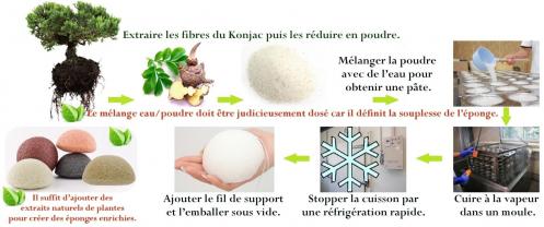 Eponge konjac fabrication