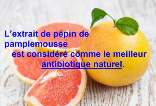 Extrait pepins pamplemousse 1