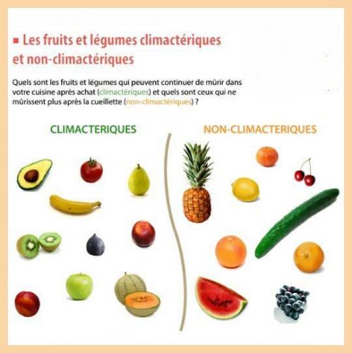 Fruits climaiques