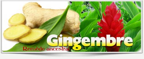 Gingembre racine remede ancestral