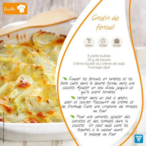 Gratin fenouil