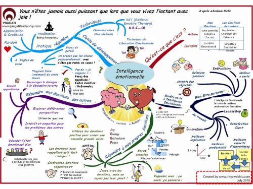 Intelligence emotionnelle3