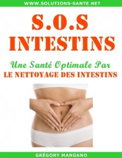 Intestins