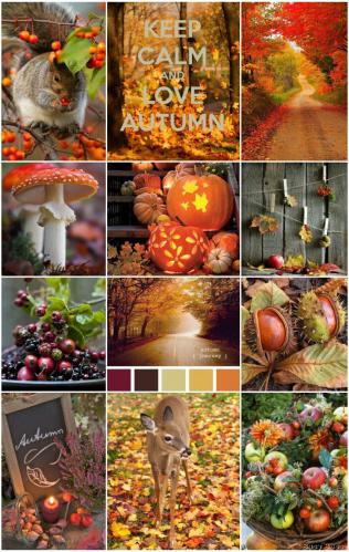 Keep calm love autumn